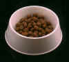 dogfood.jpg (47174 bytes)