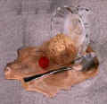 spilled cocoa