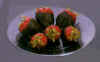 strawb-choc.jpg (33647 bytes)