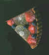 torte-fr-slice.jpg