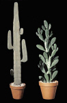 Fake Cacti Sales